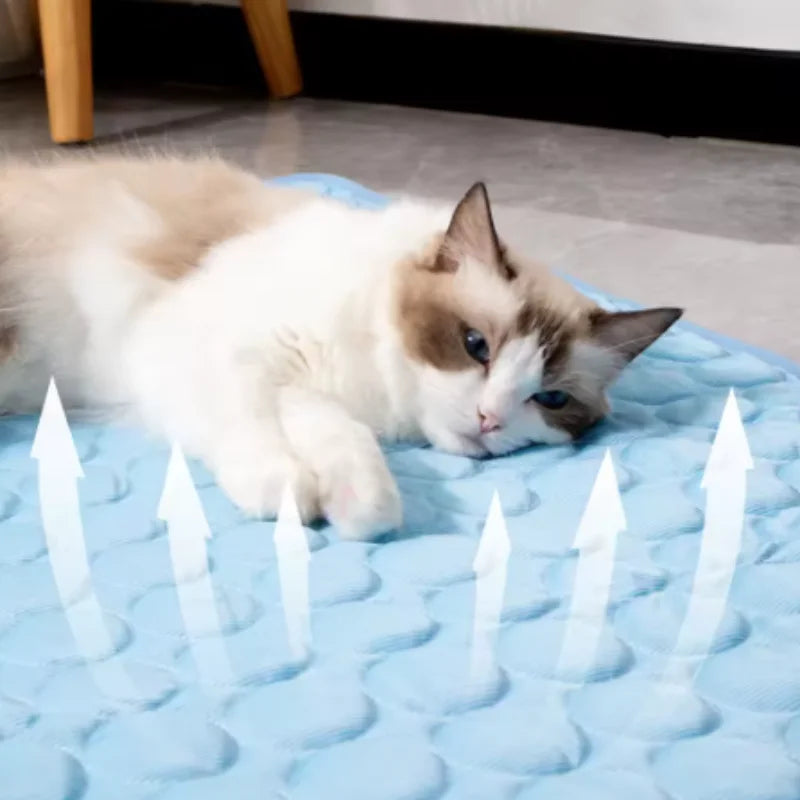 Tapis Rafraîchissant pour Chien et Chat – Grand Format, 6 Tailles