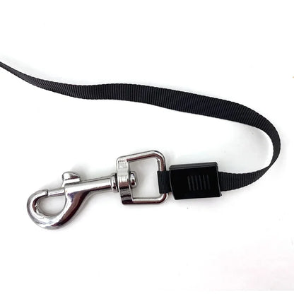 Laisse Rétractable Automatique pour Chien – 3M ou 5M, Frein et Blocage Sécurisé