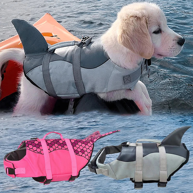 Gilet de sauvetage pour chien | Flottabilité, Réfléchissant, Toutes tailles