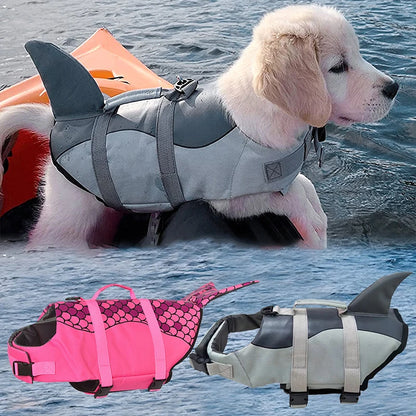 Gilet de sauvetage pour chien | Flottabilité, Réfléchissant, Toutes tailles
