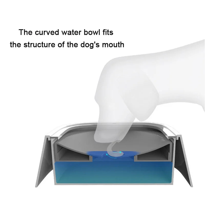 Bol d'Eau Flottant Anti-Débordement pour Chien et Chat