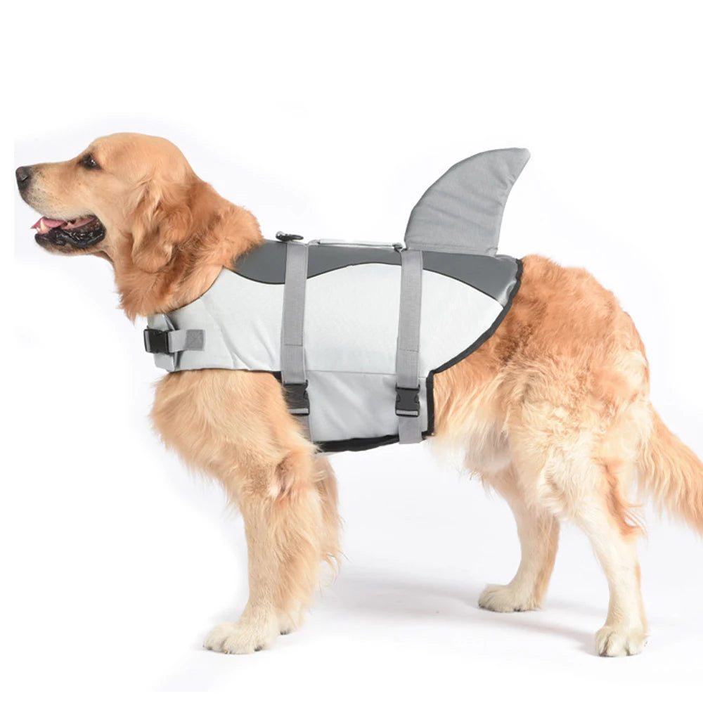 Gilet de sauvetage pour chien | Flottabilité, Réfléchissant, Toutes tailles